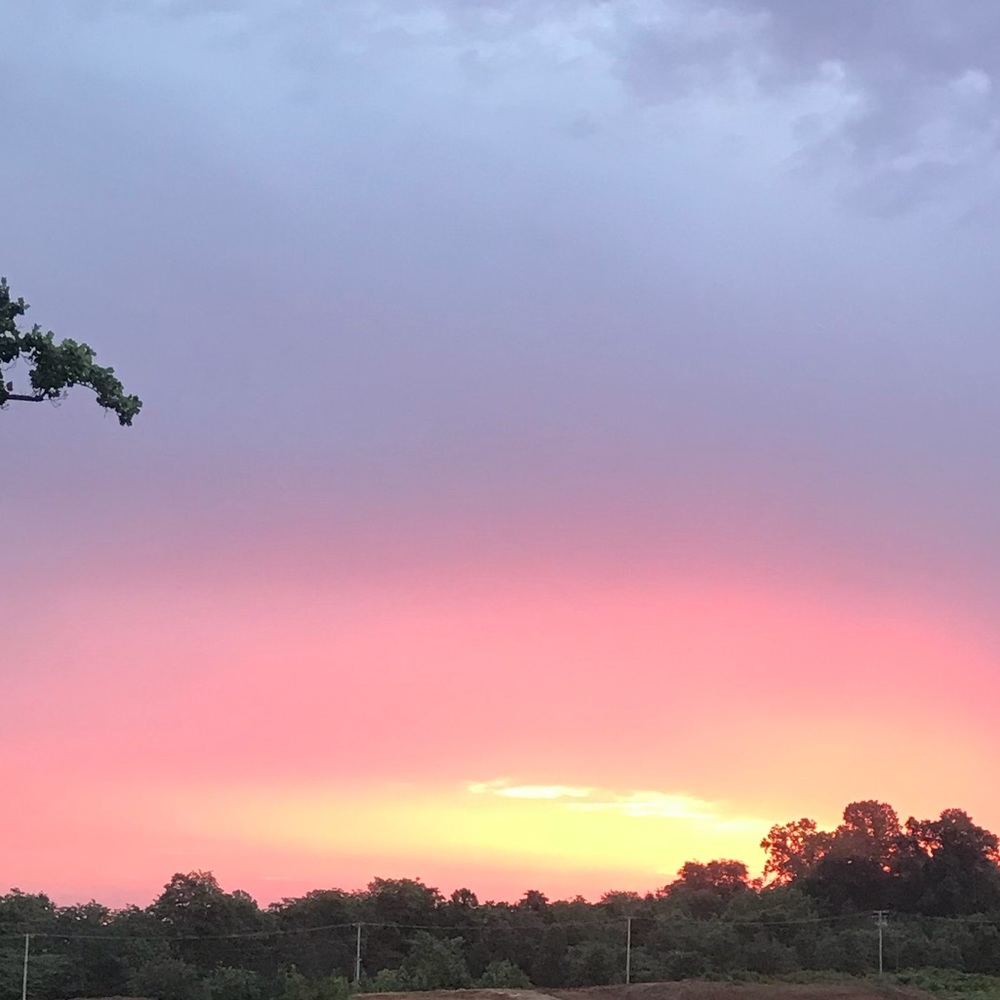 Meet your Posher, Shayna